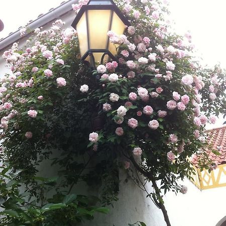 Patio Das Flores Ferreira Do Alentejo Εξωτερικό φωτογραφία