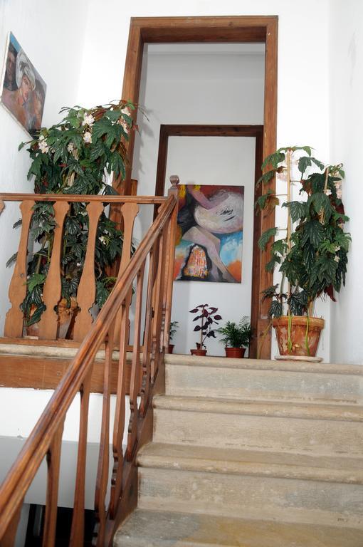 Patio Das Flores Ferreira Do Alentejo Εξωτερικό φωτογραφία