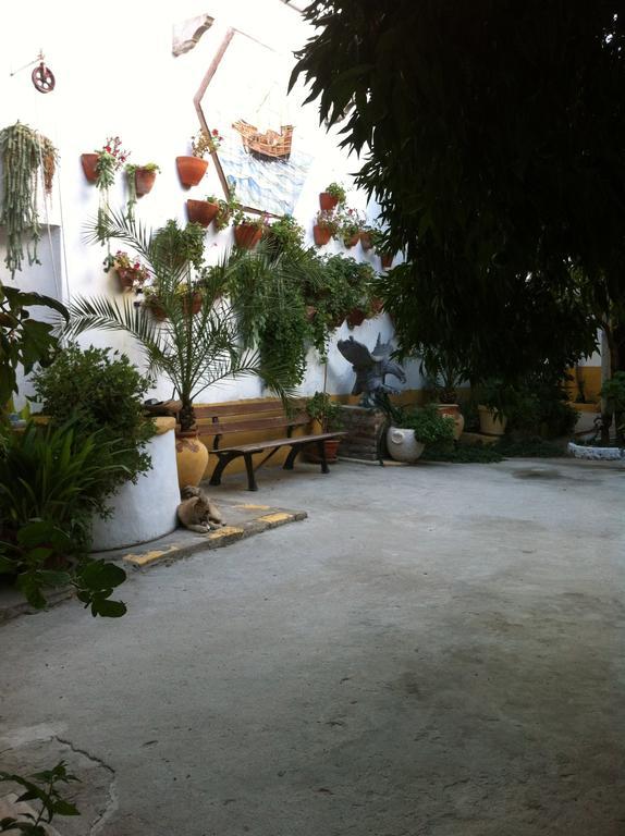 Patio Das Flores Ferreira Do Alentejo Εξωτερικό φωτογραφία