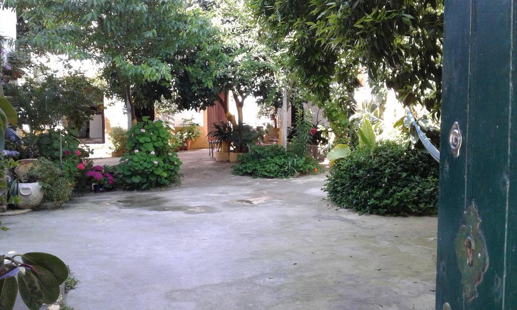 Patio Das Flores Ferreira Do Alentejo Εξωτερικό φωτογραφία