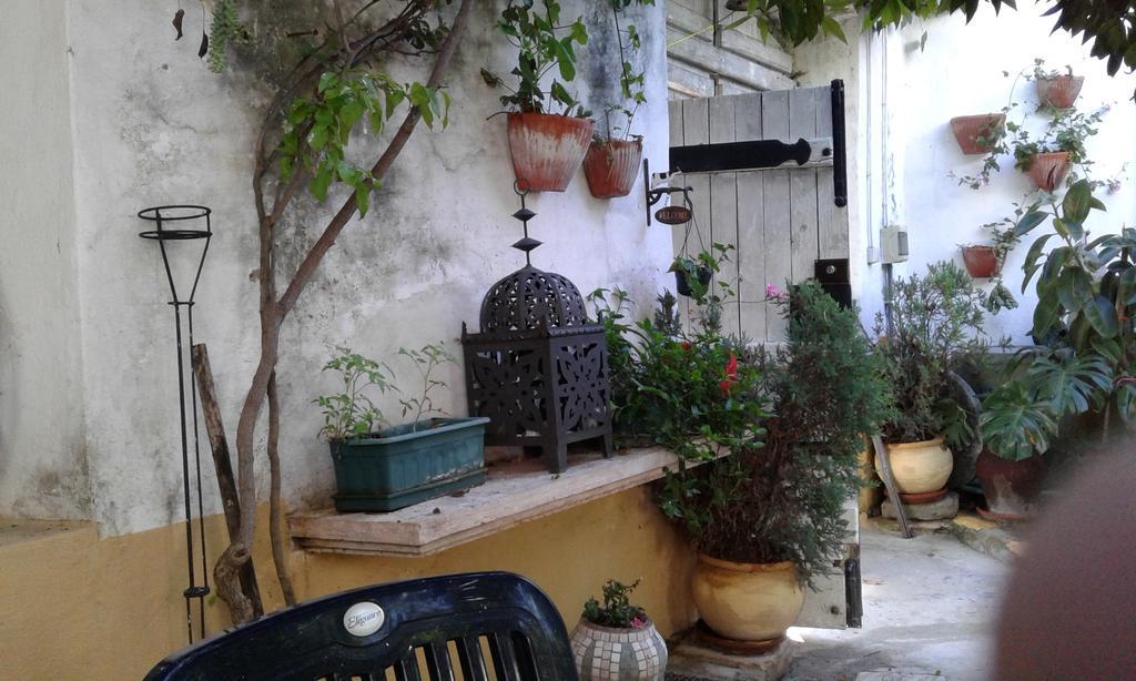 Patio Das Flores Ferreira Do Alentejo Εξωτερικό φωτογραφία
