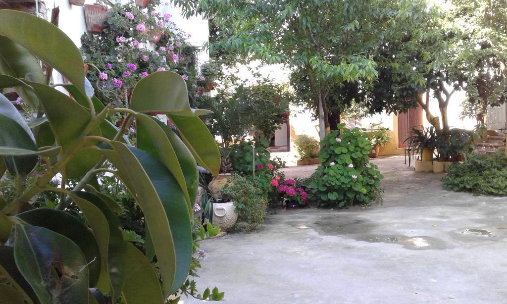 Patio Das Flores Ferreira Do Alentejo Εξωτερικό φωτογραφία