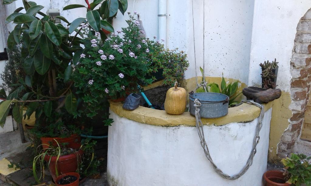 Patio Das Flores Ferreira Do Alentejo Εξωτερικό φωτογραφία